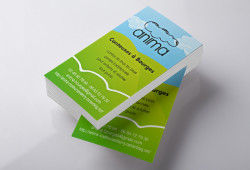carte visite anima